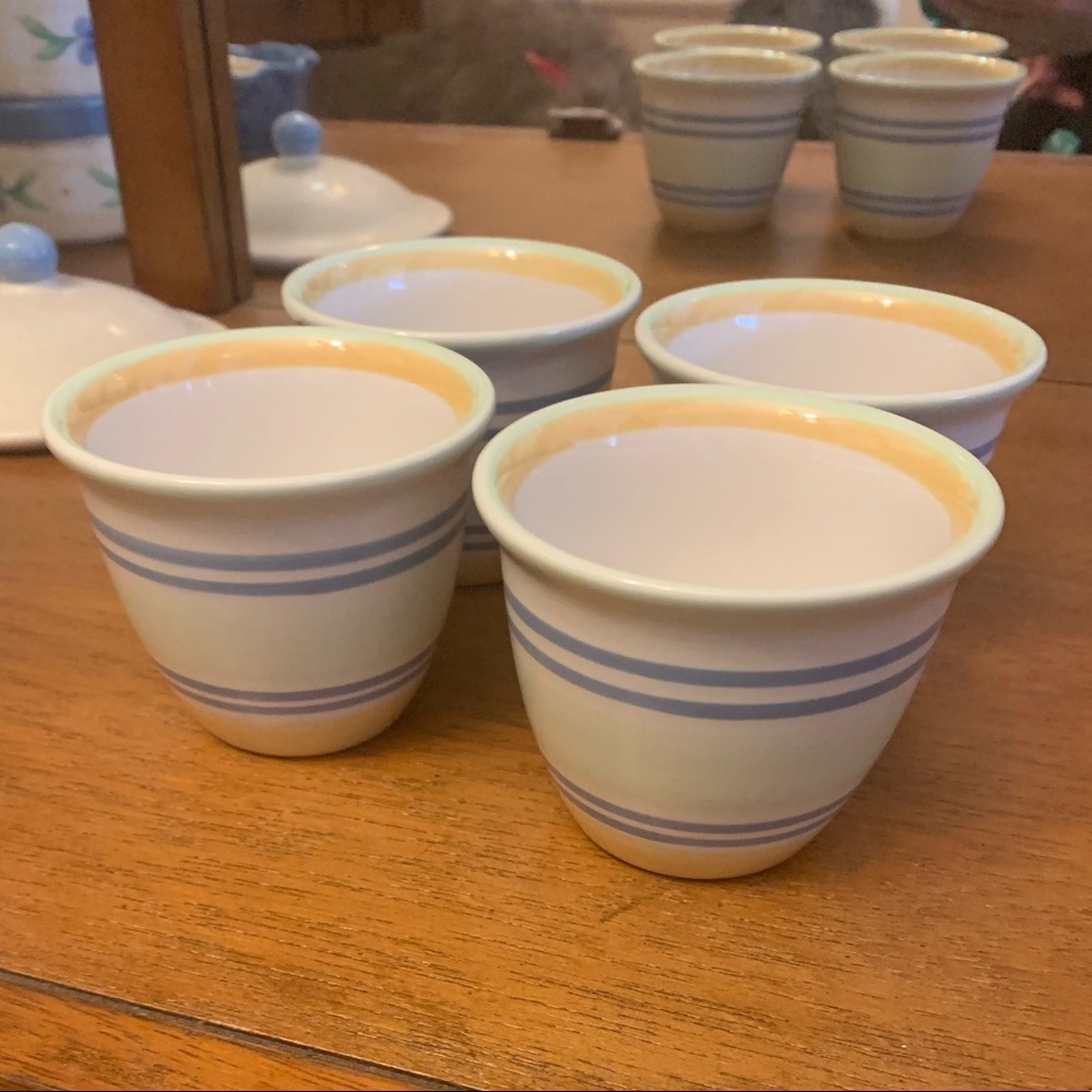 Pfaltzgraff Summer Breeze serve cups(4)